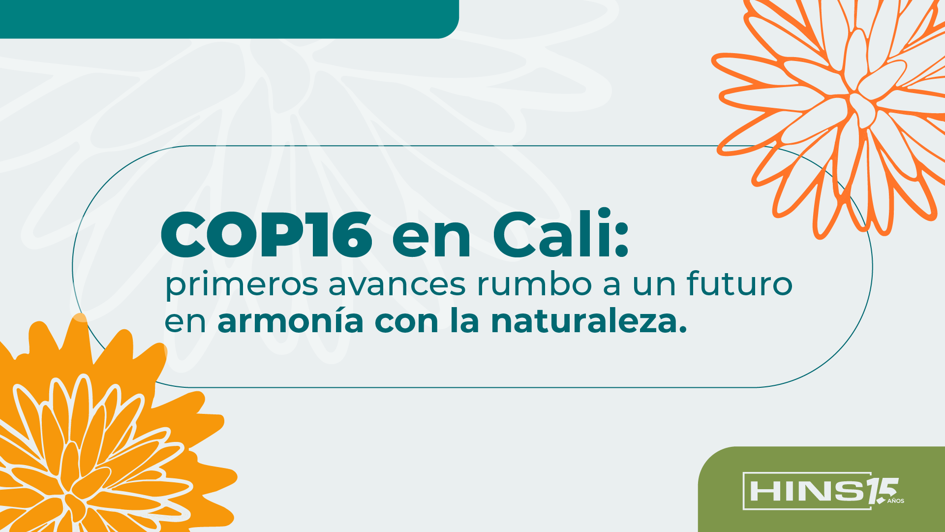 Primera semana de la COP16: claves, desafíos y conclusiones