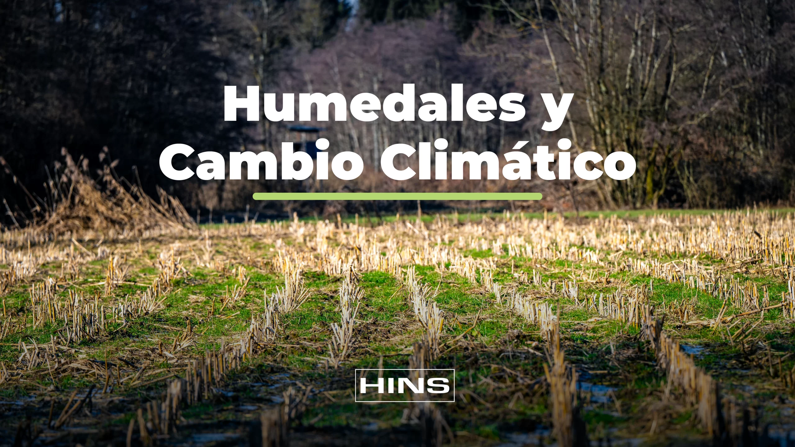 Humedales y cambio climático
