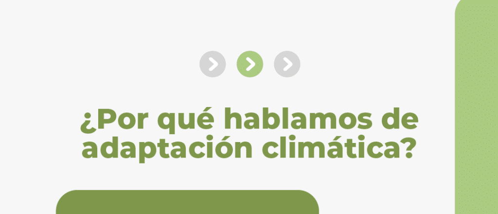 26.01 – carrusel_1