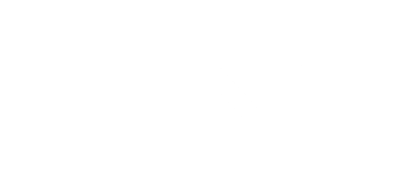 HINS