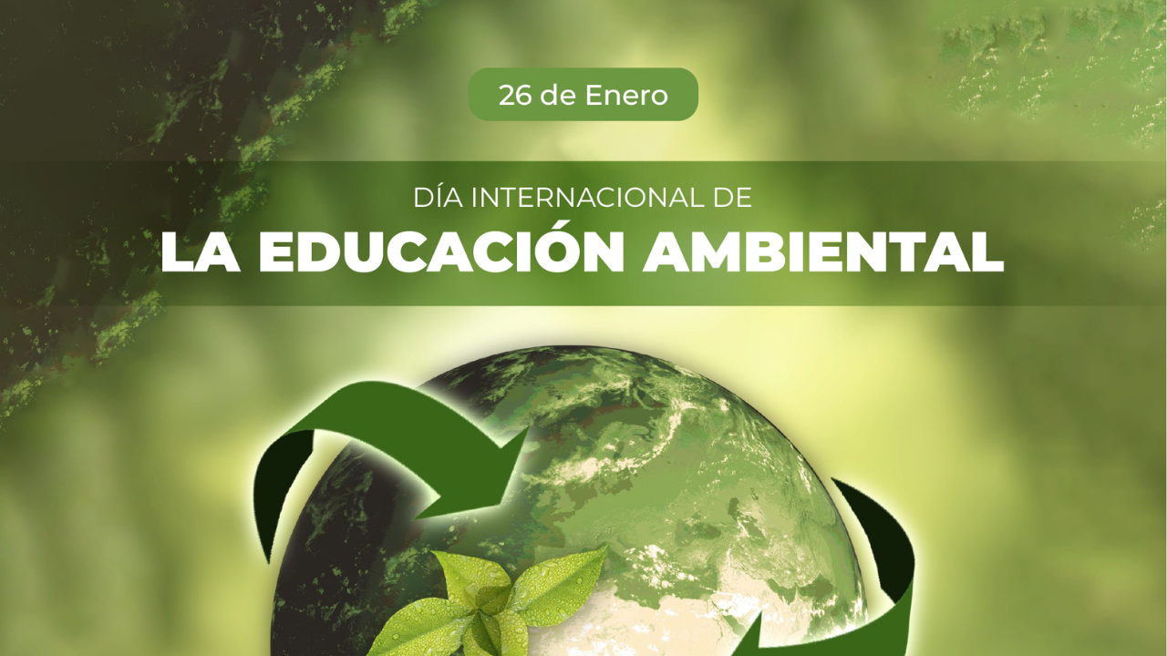 La Importancia De La Educación Ambiental Hins